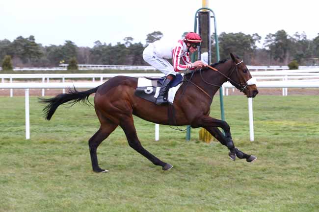 Photo d'arrivée de la course pmu PRIX DES HERONNIERES à FONTAINEBLEAU le Mercredi 2 mars 2016