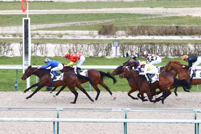 Photo d'arrivée de la course pmu PRIX DE BACQUEVILLE à DEAUVILLE le Mardi 8 mars 2016
