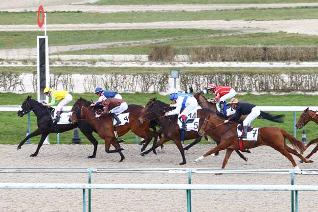 Photo d'arrivée de la course pmu PRIX DE SAINT-VALERY à DEAUVILLE le Mardi 8 mars 2016