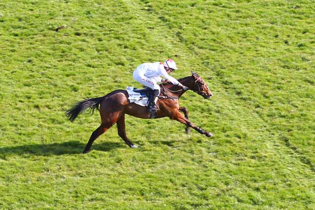 Photo d'arrivée de la course pmu PRIX UNIVERS II à AUTEUIL le Dimanche 13 mars 2016