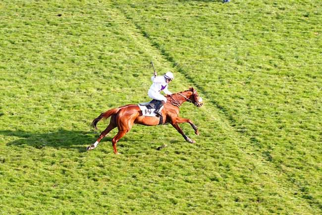 Photo d'arrivée de la course pmu PRIX RABASTENS à AUTEUIL le Dimanche 13 mars 2016