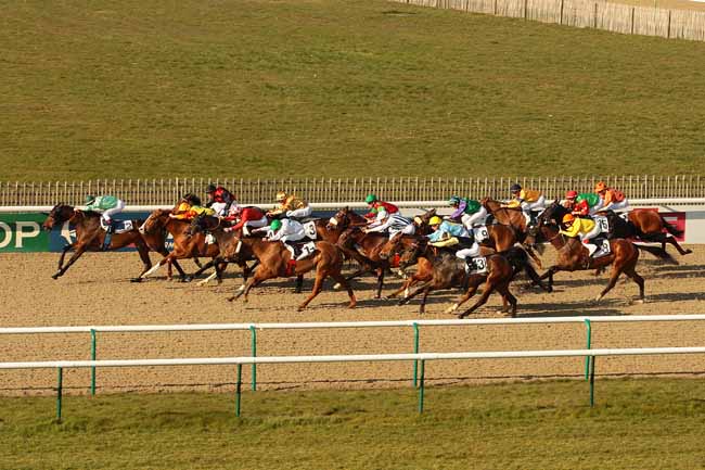 Photo d'arrivée de la course pmu PRIX JANUS à CHANTILLY le Mardi 15 mars 2016