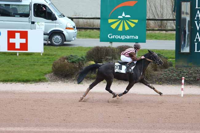 Photo d'arrivée de la course pmu PRIX WWW.HIPPODROME-LAVAL.FR à LAVAL le Mercredi 16 mars 2016