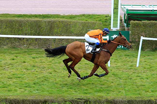 Photo d'arrivée de la course pmu PRIX BEAUTE DE COUR à ENGHIEN le Mercredi 16 mars 2016