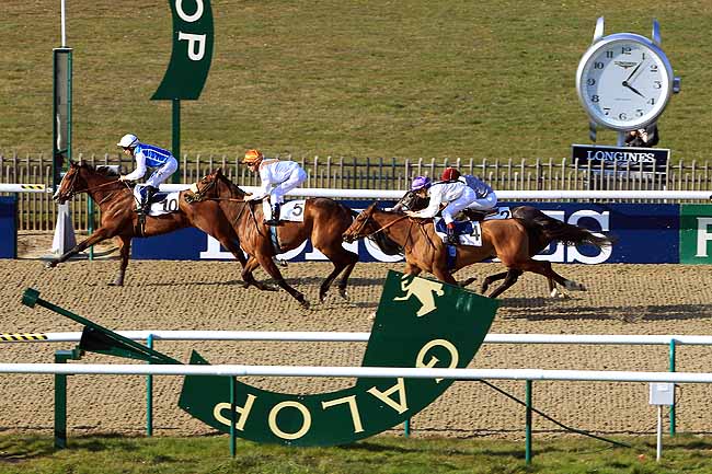 Photo d'arrivée de la course pmu PRIX RONDE DE NUIT à CHANTILLY le Jeudi 17 mars 2016