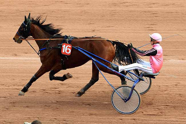 Photo d'arrivée de la course pmu PRIX DE BERVILLE à CAEN le Vendredi 18 mars 2016