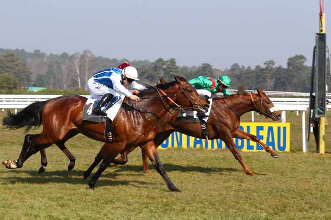 Photo d'arrivée de la course pmu PRIX DE FONTAINEROUX à FONTAINEBLEAU le Vendredi 18 mars 2016