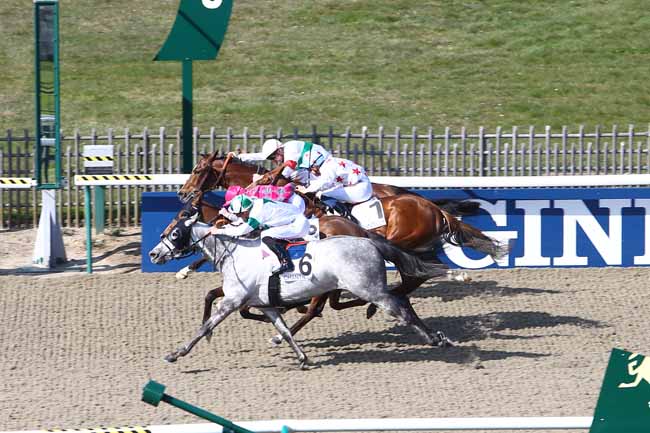 Photo d'arrivée de la course pmu PRIX DE LA FU MADAME à CHANTILLY le Mardi 22 mars 2016