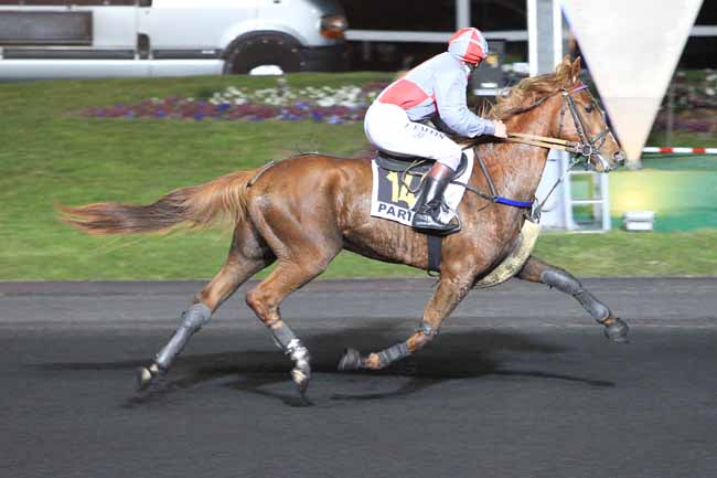 Photo d'arrivée de la course pmu PRIX MODESTIA à PARIS-VINCENNES le Mardi 22 mars 2016