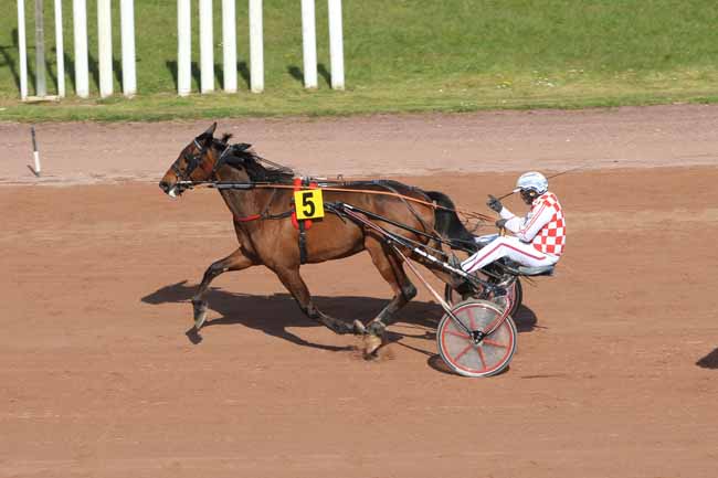 Photo d'arrivée de la course pmu PRIX D'AGEN à AGEN LE PASSAGE le Mercredi 23 mars 2016
