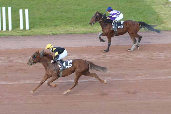 Photo d'arrivée de la course pmu PRIX DE LA VILLE 