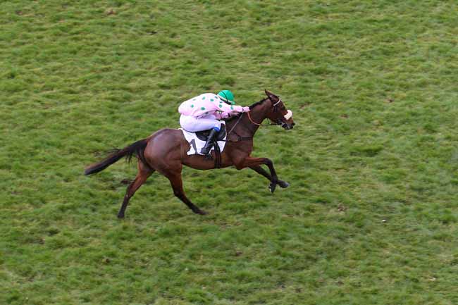 Photo d'arrivée de la course pmu PRIX ALAIN GRIMAUX à AUTEUIL le Dimanche 27 mars 2016