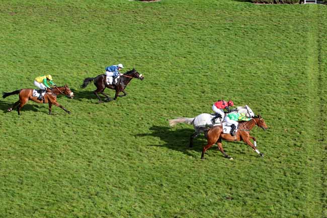 Photo d'arrivée de la course pmu PRIX HUBERT D'AILLIERES à AUTEUIL le Dimanche 27 mars 2016
