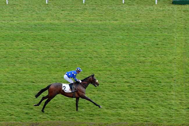 Photo d'arrivée de la course pmu PRIX DE PLAISIR à SAINT-CLOUD le Lundi 28 mars 2016