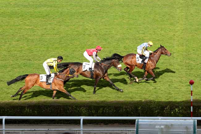 Photo d'arrivée de la course pmu PRIX DE GRIGNON à SAINT-CLOUD le Lundi 28 mars 2016