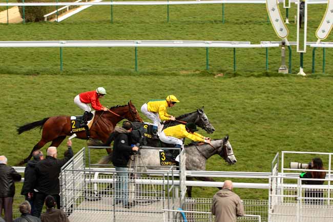 Photo d'arrivée de la course pmu PRIX DU MONT SAINT-PIERRE à COMPIEGNE le Mardi 29 mars 2016