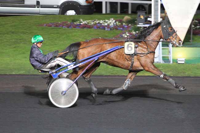 Photo d'arrivée de la course pmu PRIX ADELHEID à PARIS-VINCENNES le Mardi 29 mars 2016