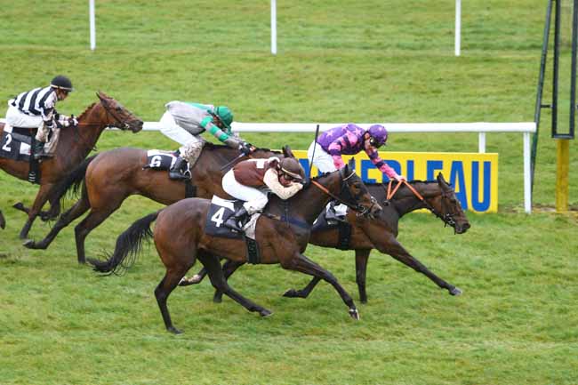 Photo d'arrivée de la course pmu PRIX DES CYPRES à FONTAINEBLEAU le Jeudi 31 mars 2016
