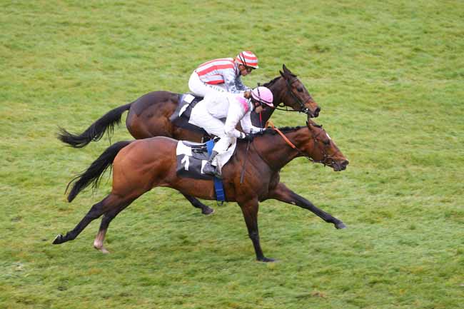 Photo d'arrivée de la course pmu PRIX DES HETRES à FONTAINEBLEAU le Jeudi 31 mars 2016