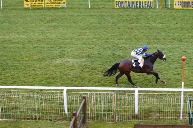 Photo d'arrivée de la course pmu PRIX COR DE CHASSE à FONTAINEBLEAU le Jeudi 31 mars 2016