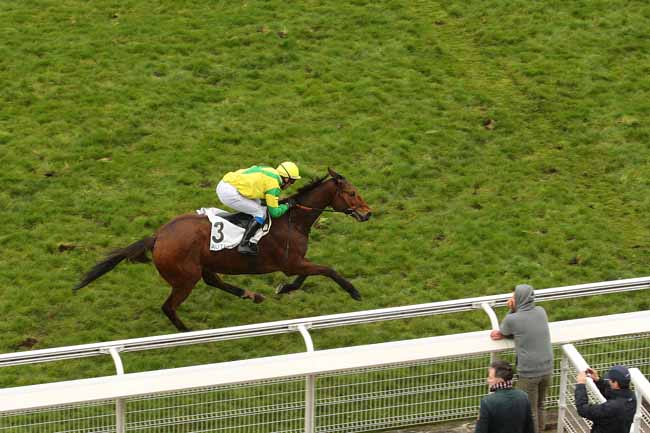 Photo d'arrivée de la course pmu PRIX HUBERT DE NAVAILLES à AUTEUIL le Samedi 2 avril 2016