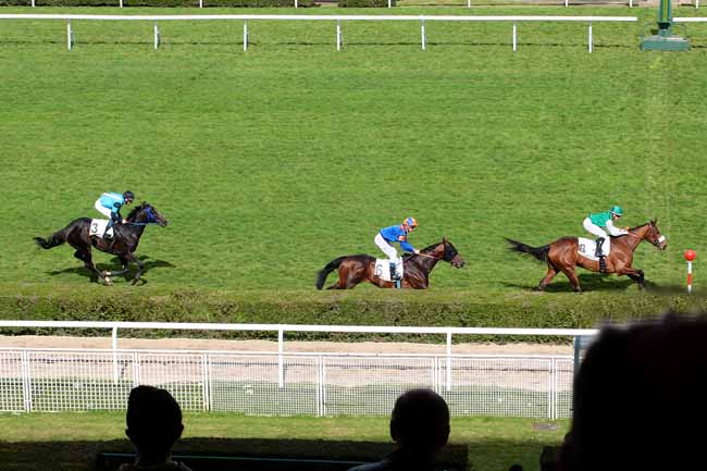 Photo d'arrivée de la course pmu PRIX EDMOND BLANC à SAINT-CLOUD le Dimanche 3 avril 2016