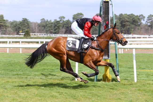 Photo d'arrivée de la course pmu PRIX QUAZVIN II à FONTAINEBLEAU le Mercredi 6 avril 2016