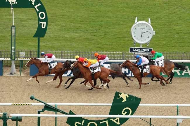Photo d'arrivée de la course pmu PRIX DE GOUY à CHANTILLY le Mercredi 6 avril 2016