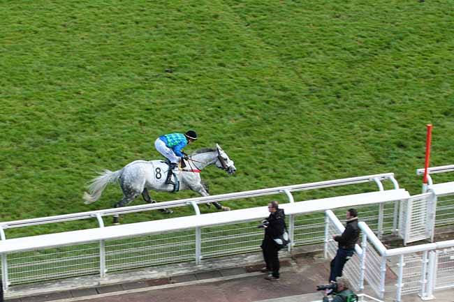 Photo d'arrivée de la course pmu PRIX ARTHUR VEIL-PICARD à AUTEUIL le Vendredi 8 avril 2016
