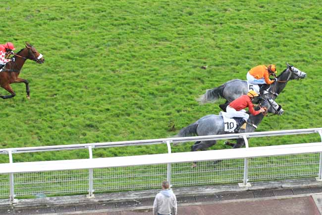 Photo d'arrivée de la course pmu PRIX CLAUDE COHEN à AUTEUIL le Mercredi 13 avril 2016