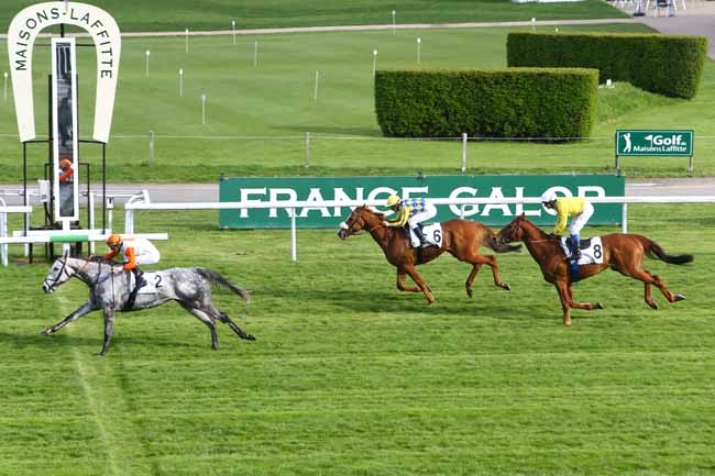Photo d'arrivée de la course pmu PRIX DE TARNOS à MAISONS-LAFFITTE le Mercredi 13 avril 2016