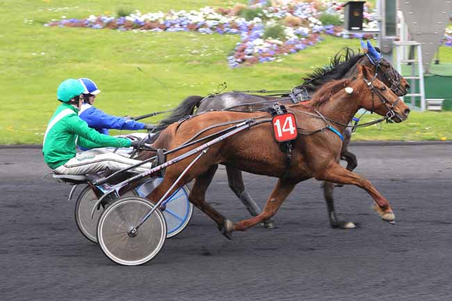 Photo d'arrivée de la course pmu PRIX D'AUXERRE à PARIS-VINCENNES le Samedi 16 avril 2016