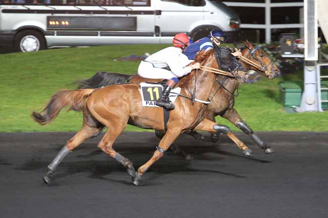 Photo d'arrivée de la course pmu PRIX ADRIA à PARIS-VINCENNES le Mardi 19 avril 2016