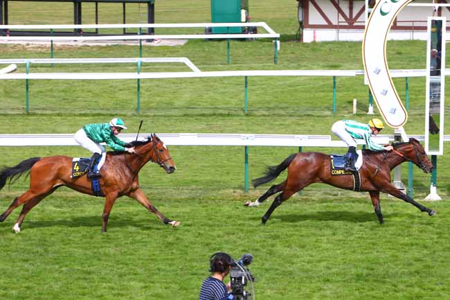 Photo d'arrivée de la course pmu PRIX DU PARC ROYAL à COMPIEGNE le Jeudi 21 avril 2016