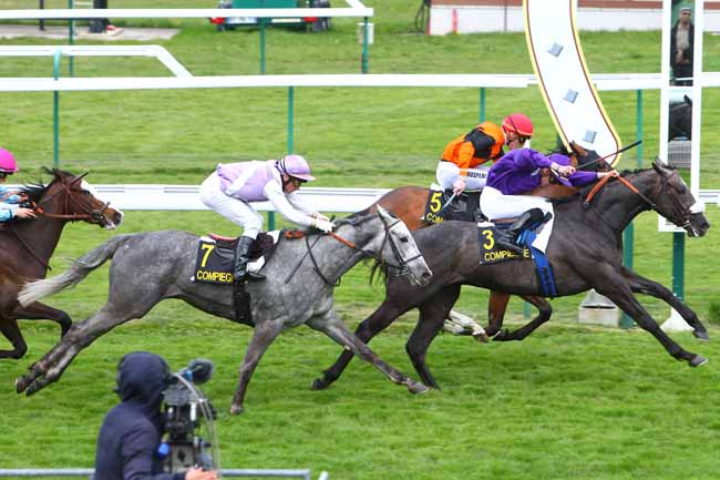 Photo d'arrivée de la course pmu PRIX DU PARC DES PRINCES à COMPIEGNE le Jeudi 21 avril 2016