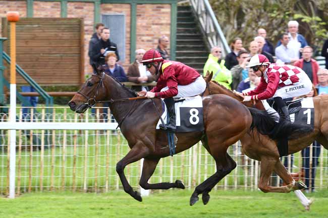 Photo d'arrivée de la course pmu PRIX DE LA CHAPELLE-LA-REINE à FONTAINEBLEAU le Vendredi 22 avril 2016