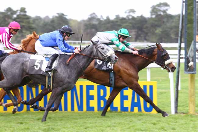 Photo d'arrivée de la course pmu PRIX DES IFS à FONTAINEBLEAU le Vendredi 22 avril 2016