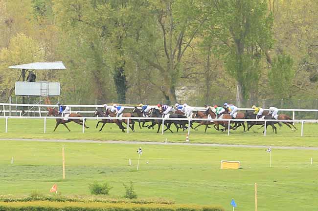 Photo d'arrivée de la course pmu PRIX D'AUXERRE à MAISONS-LAFFITTE le Mardi 26 avril 2016