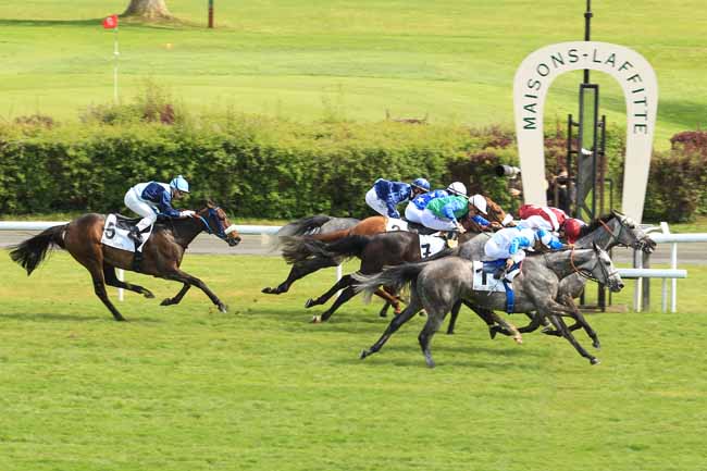 Photo d'arrivée de la course pmu PRIX DE TROYES à MAISONS-LAFFITTE le Mardi 26 avril 2016
