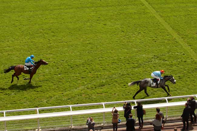 Photo d'arrivée de la course pmu PRIX DU VIVARAIS à AUTEUIL le Mercredi 27 avril 2016