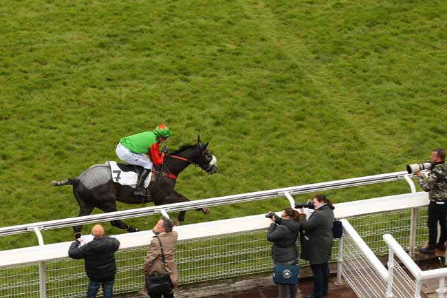Photo d'arrivée de la course pmu PRIX WILD MONARCH à AUTEUIL le Samedi 30 avril 2016