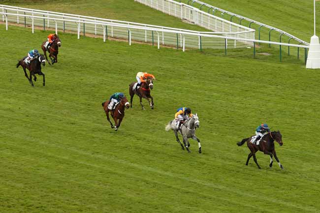 Photo d'arrivée de la course pmu PRIX JEAN STERN à AUTEUIL le Samedi 30 avril 2016