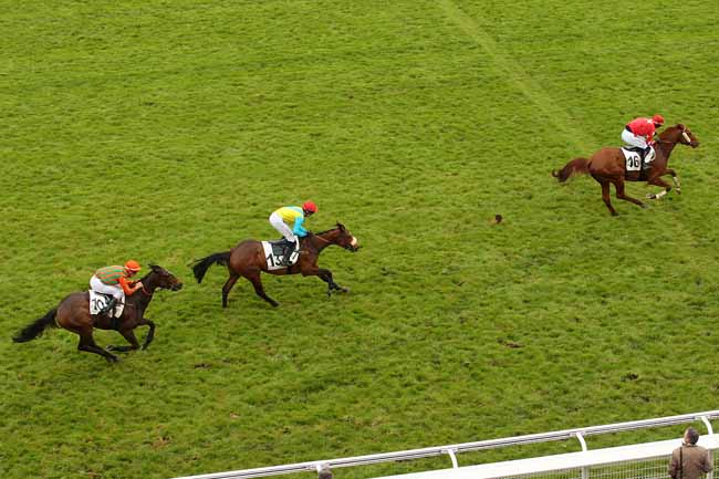 Photo d'arrivée de la course pmu PRIX DE PAU à AUTEUIL le Samedi 30 avril 2016
