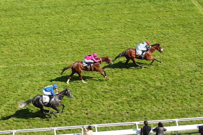 Photo d'arrivée de la course pmu PRIX VANILLE à AUTEUIL le Mercredi 4 mai 2016