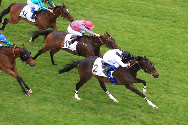 Photo d'arrivée de la course pmu PRIX DU BOURGET à CHANTILLY le Lundi 9 mai 2016