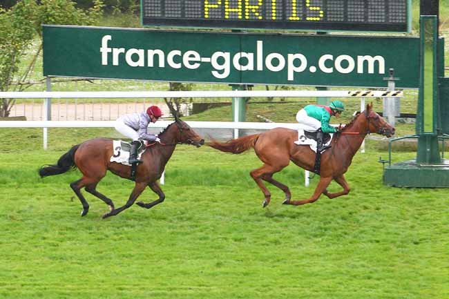 Photo d'arrivée de la course pmu PRIX FIAMMETTA à SAINT-CLOUD le Mercredi 11 mai 2016