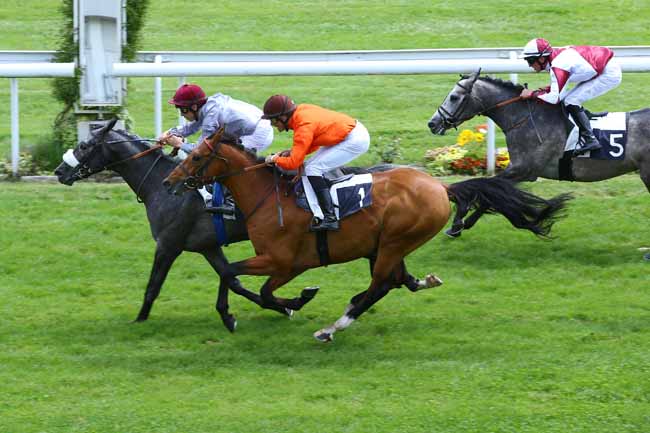 Photo d'arrivée de la course pmu PRIX DJELFOR à BORDEAUX-LE BOUSCAT le Jeudi 12 mai 2016