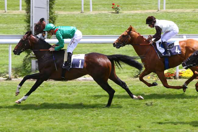Photo d'arrivée de la course pmu PRIX DU TREMBLAY à BORDEAUX-LE BOUSCAT le Jeudi 12 mai 2016
