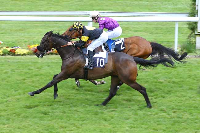 Photo d'arrivée de la course pmu PRIX JONATHAN BESSE à BORDEAUX-LE BOUSCAT le Jeudi 12 mai 2016