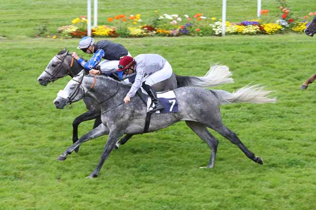 Photo d'arrivée de la course pmu PRIX DJERBA OUA à BORDEAUX-LE BOUSCAT le Jeudi 12 mai 2016